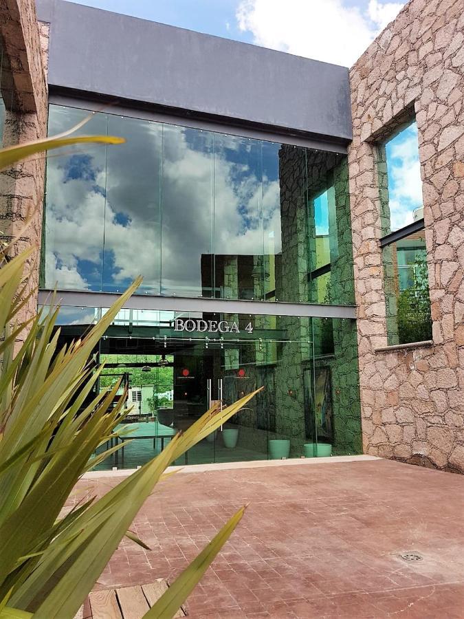 Hotel Camino De Piedra Guanajuato Kültér fotó
